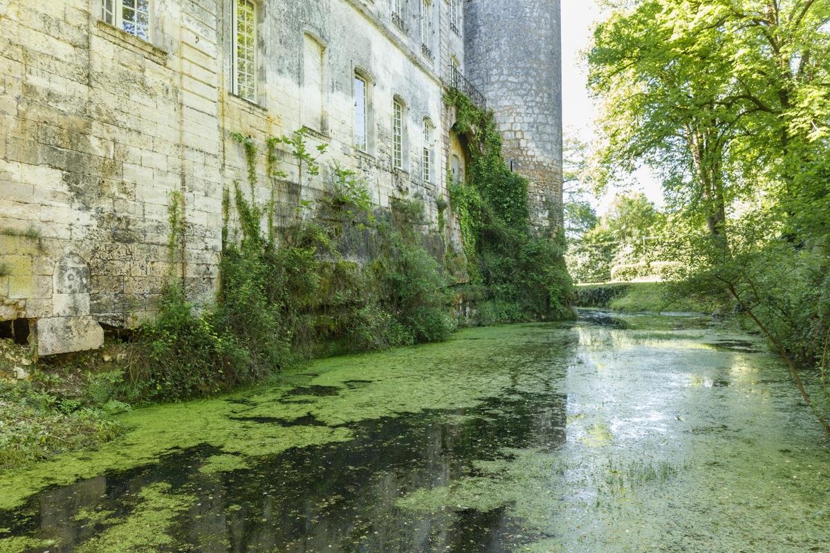 crop_9999_1000_Chateau-La-Moinerie-Dordogne-Olivers-Travels9