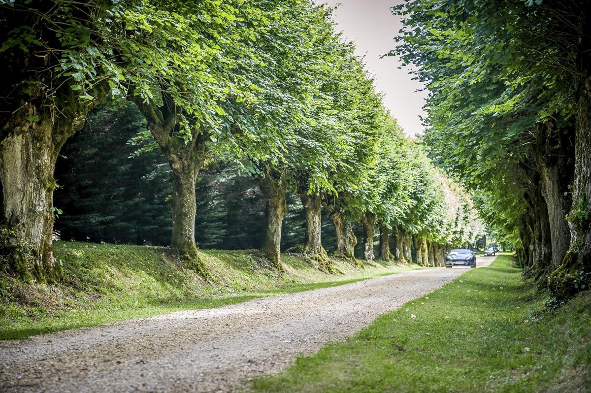 crop_9999_1000_Chateau-Paradis-Aquitaine-Olivers-Travels15